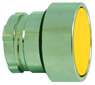 22 mm Non-Illuminated Metal Operators